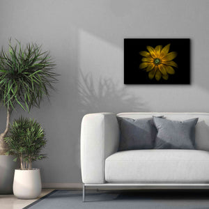 'Backyard Flowers 34 Color Version' by Brian Carson, Giclee Canvas Wall Art,26 x 18