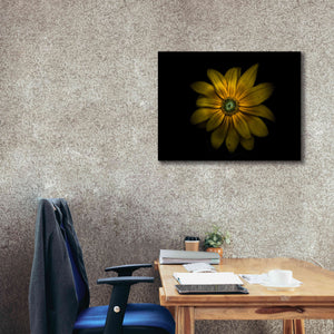 'Backyard Flowers 34 Color Version' by Brian Carson, Giclee Canvas Wall Art,34 x 26