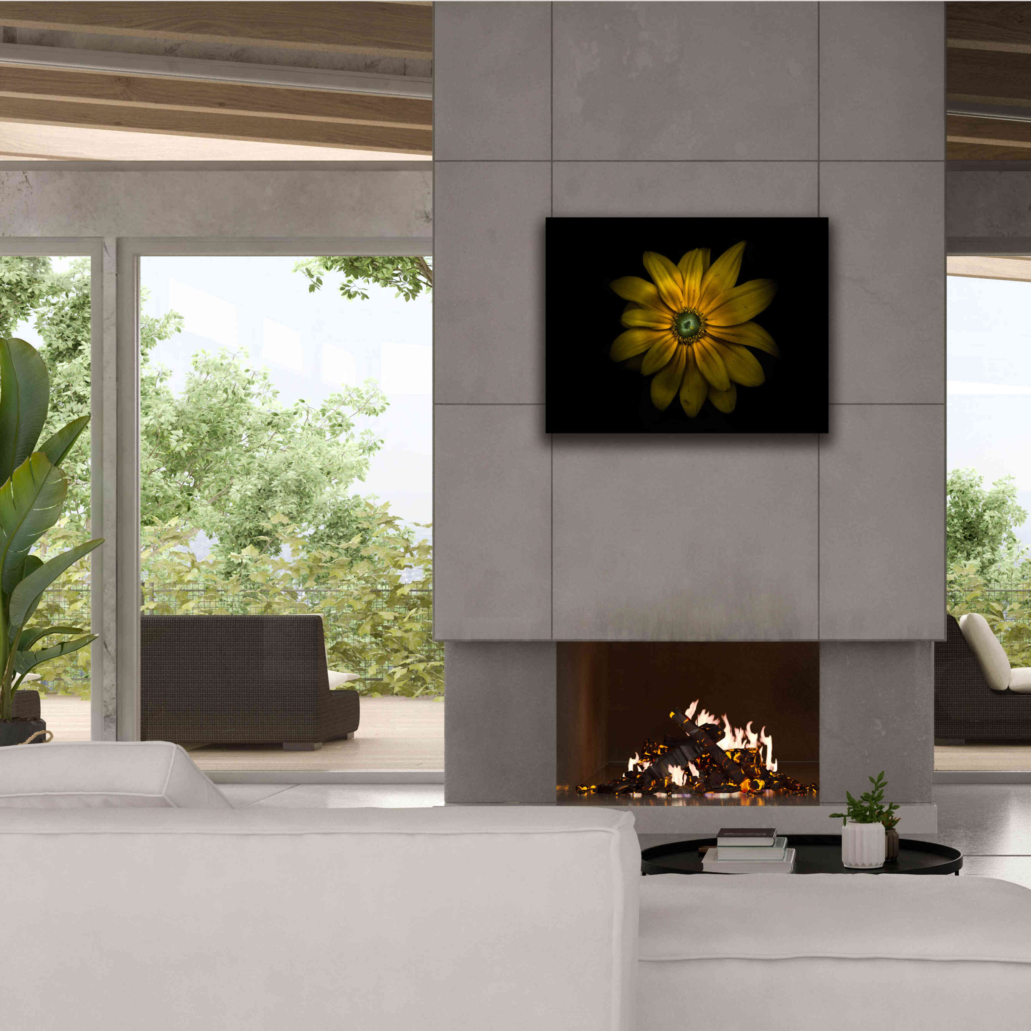 'Backyard Flowers 34 Color Version' by Brian Carson, Giclee Canvas Wall Art,34 x 26
