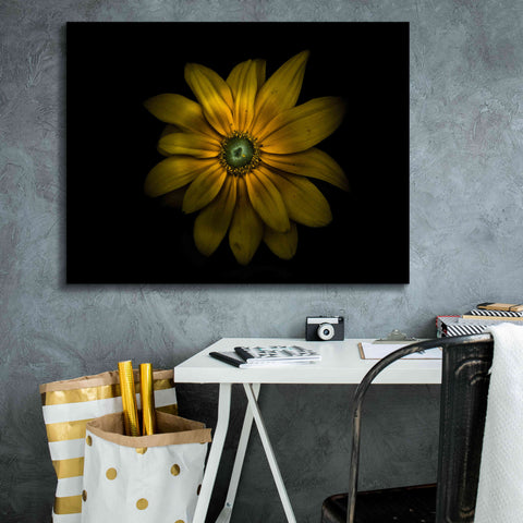 Image of 'Backyard Flowers 34 Color Version' by Brian Carson, Giclee Canvas Wall Art,34 x 26