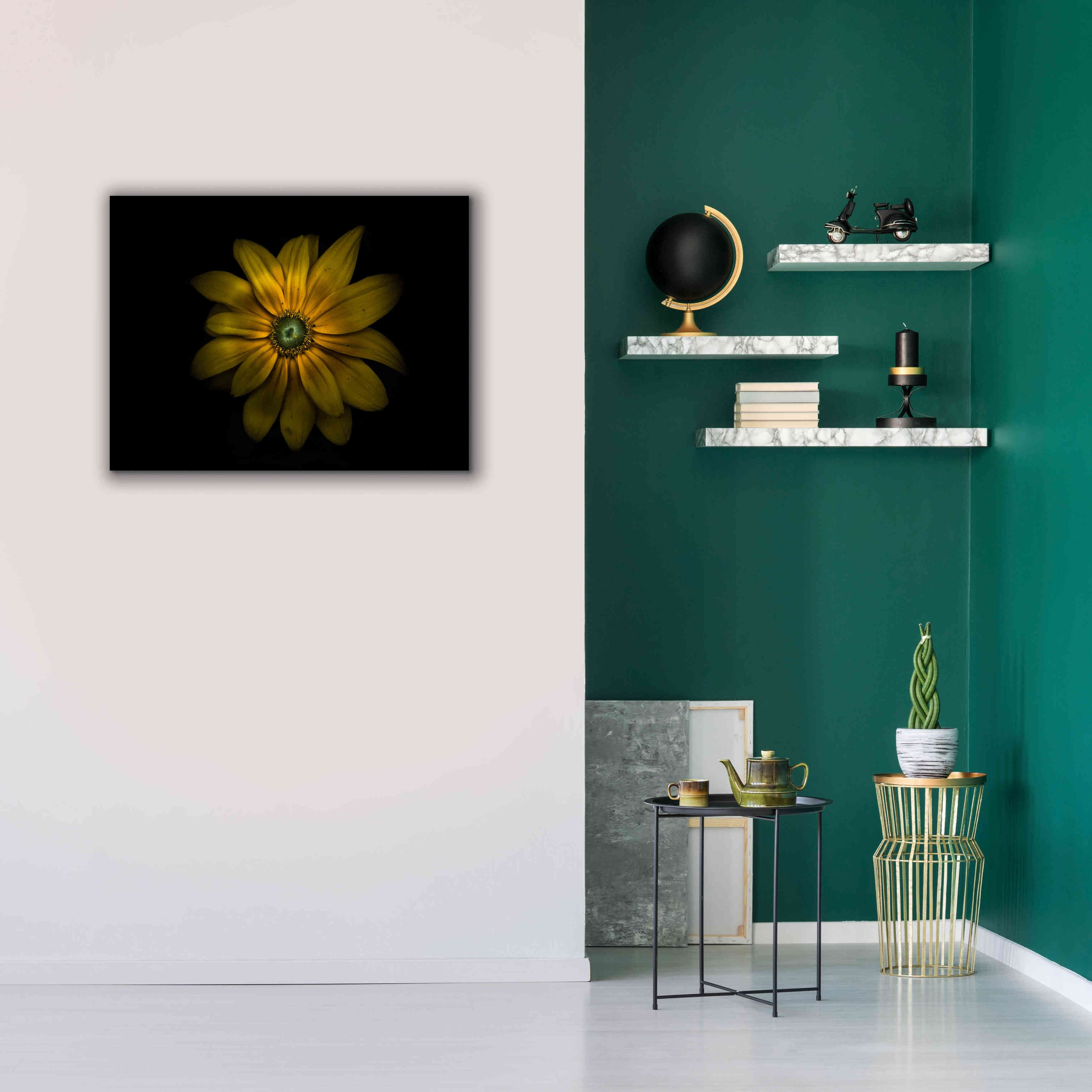 'Backyard Flowers 34 Color Version' by Brian Carson, Giclee Canvas Wall Art,34 x 26