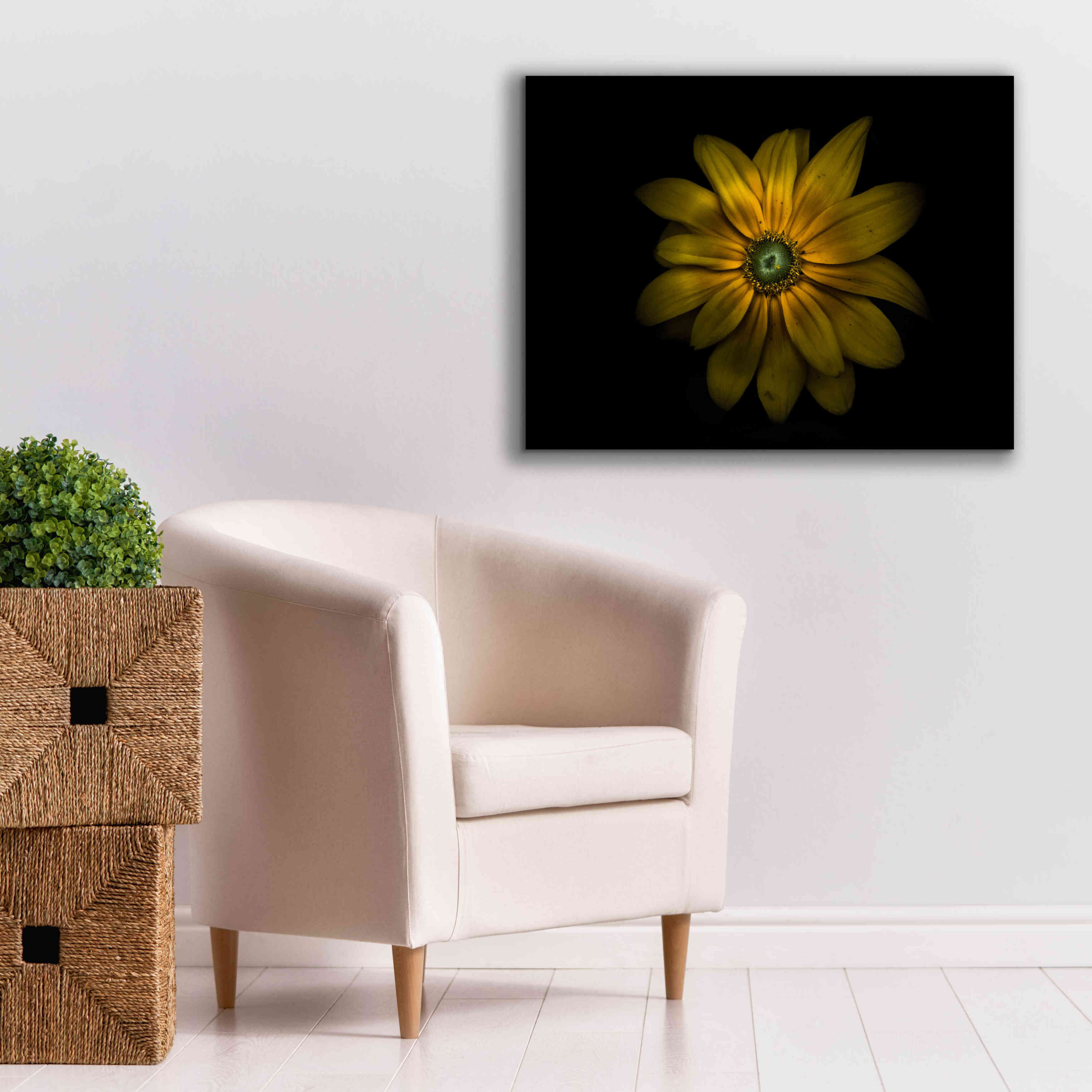 'Backyard Flowers 34 Color Version' by Brian Carson, Giclee Canvas Wall Art,34 x 26