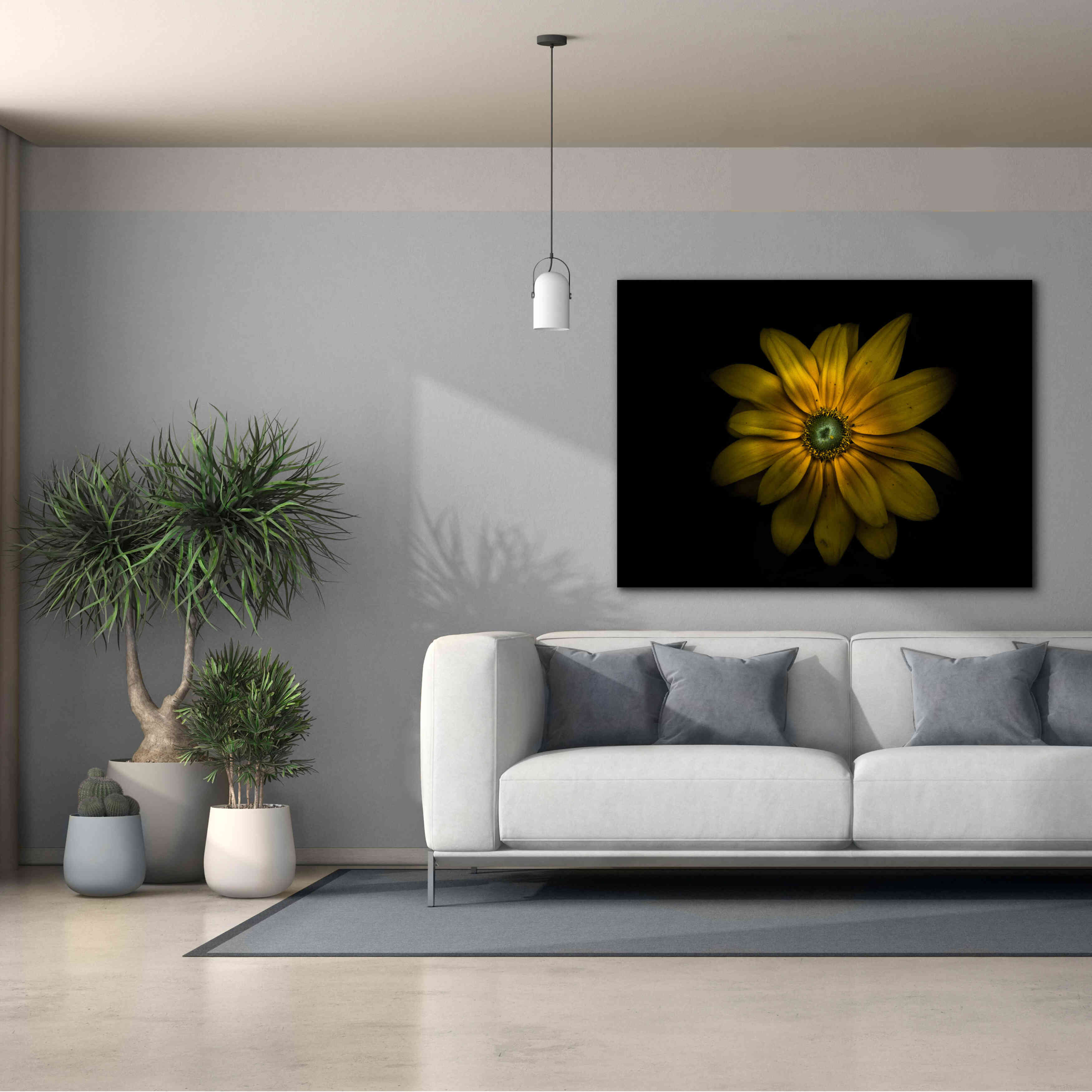 'Backyard Flowers 34 Color Version' by Brian Carson, Giclee Canvas Wall Art,54 x 40