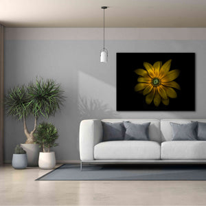 'Backyard Flowers 34 Color Version' by Brian Carson, Giclee Canvas Wall Art,54 x 40