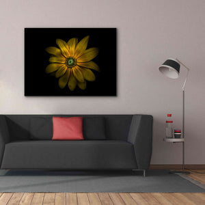 'Backyard Flowers 34 Color Version' by Brian Carson, Giclee Canvas Wall Art,54 x 40