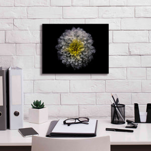'Backyard Flowers 46 Color Version' by Brian Carson, Giclee Canvas Wall Art,16 x 12