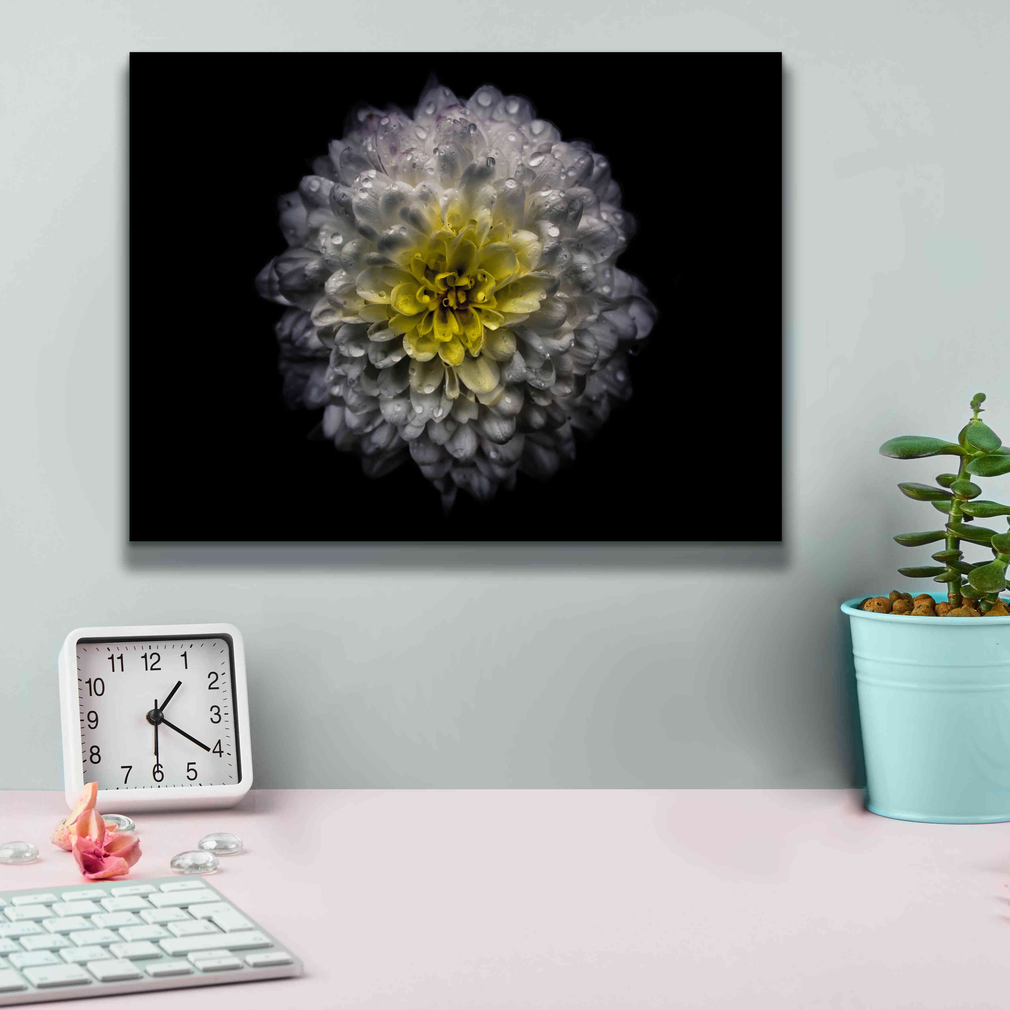 'Backyard Flowers 46 Color Version' by Brian Carson, Giclee Canvas Wall Art,16 x 12