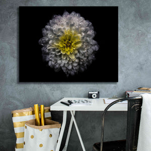 'Backyard Flowers 46 Color Version' by Brian Carson, Giclee Canvas Wall Art,34 x 26