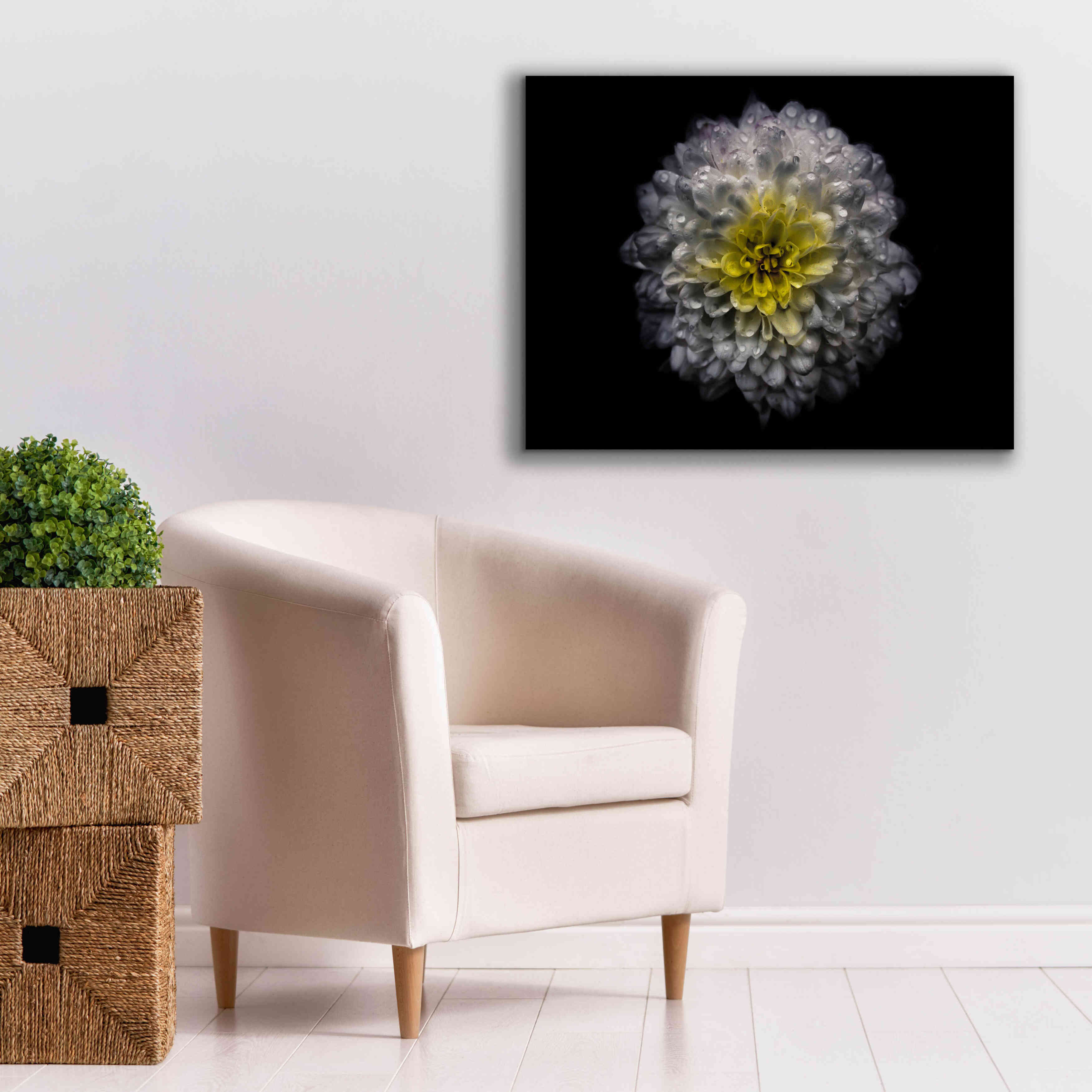 'Backyard Flowers 46 Color Version' by Brian Carson, Giclee Canvas Wall Art,34 x 26