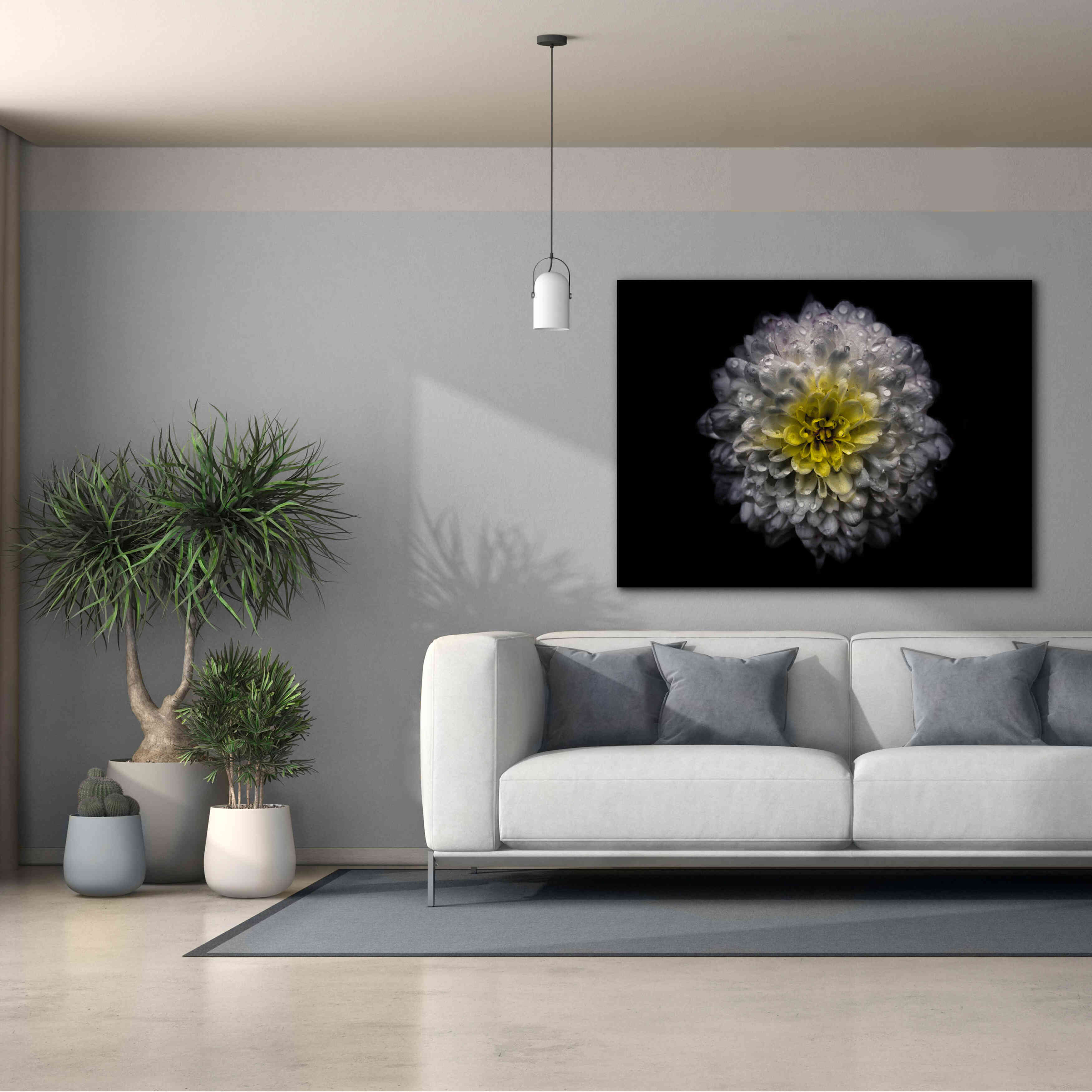 'Backyard Flowers 46 Color Version' by Brian Carson, Giclee Canvas Wall Art,54 x 40