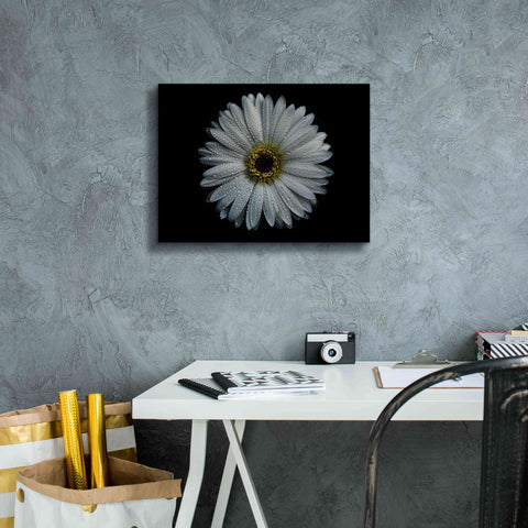 Image of 'Backyard Flowers 71 Color Version' by Brian Carson, Giclee Canvas Wall Art,16 x 12