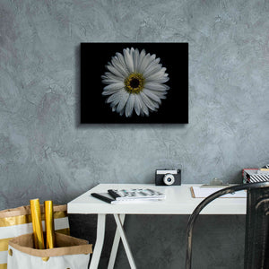 'Backyard Flowers 71 Color Version' by Brian Carson, Giclee Canvas Wall Art,16 x 12