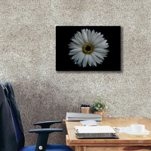 'Backyard Flowers 71 Color Version' by Brian Carson, Giclee Canvas Wall Art,26 x 18
