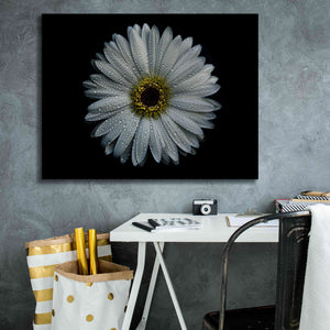 'Backyard Flowers 71 Color Version' by Brian Carson, Giclee Canvas Wall Art,34 x 26