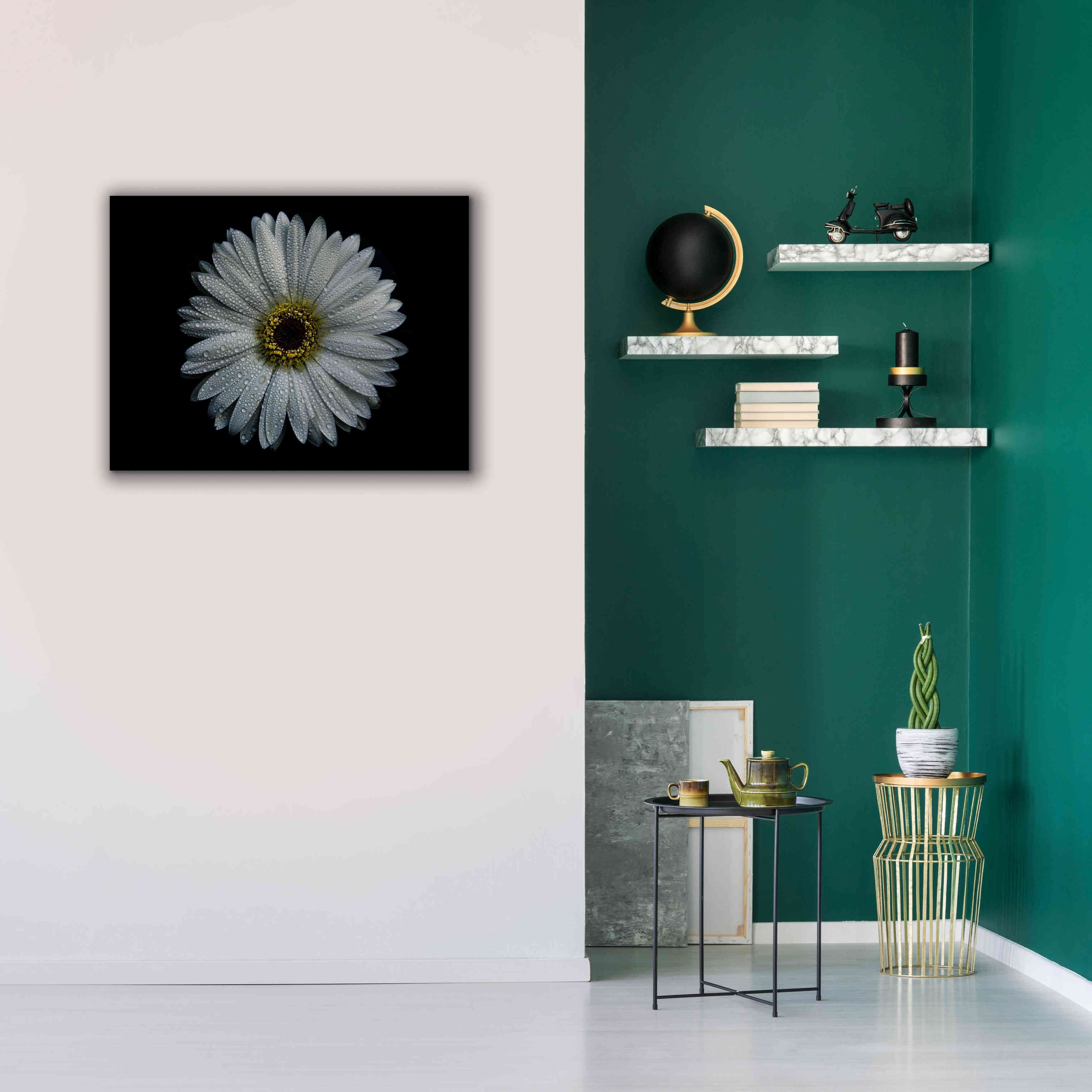 'Backyard Flowers 71 Color Version' by Brian Carson, Giclee Canvas Wall Art,34 x 26