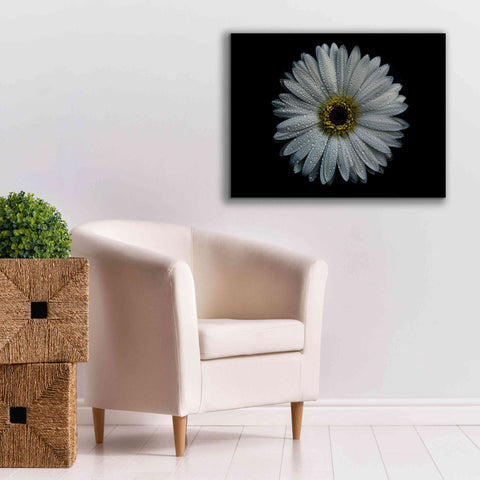 Image of 'Backyard Flowers 71 Color Version' by Brian Carson, Giclee Canvas Wall Art,34 x 26