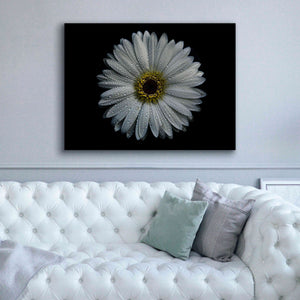 'Backyard Flowers 71 Color Version' by Brian Carson, Giclee Canvas Wall Art,54 x 40