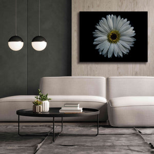 'Backyard Flowers 71 Color Version' by Brian Carson, Giclee Canvas Wall Art,54 x 40
