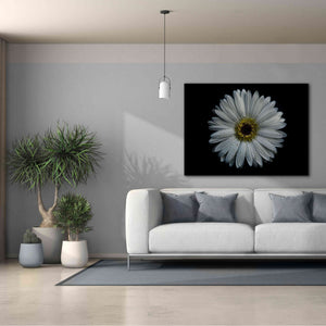 'Backyard Flowers 71 Color Version' by Brian Carson, Giclee Canvas Wall Art,54 x 40