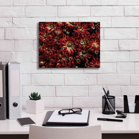 Image of 'Backyard Flowers 88 Color Version' by Brian Carson, Giclee Canvas Wall Art,16 x 12