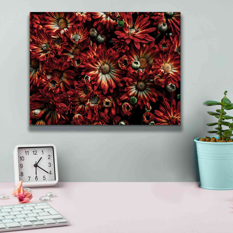 Image of 'Backyard Flowers 88 Color Version' by Brian Carson, Giclee Canvas Wall Art,16 x 12