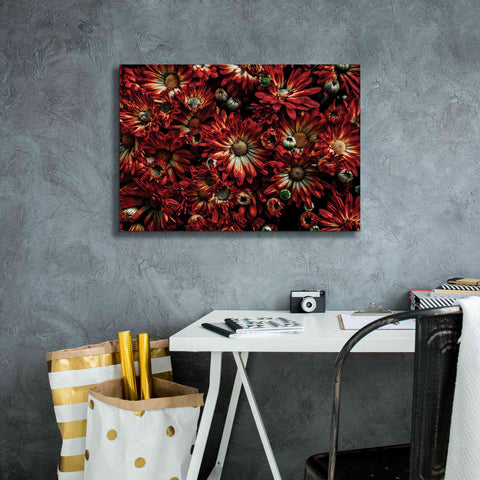 Image of 'Backyard Flowers 88 Color Version' by Brian Carson, Giclee Canvas Wall Art,26 x 18