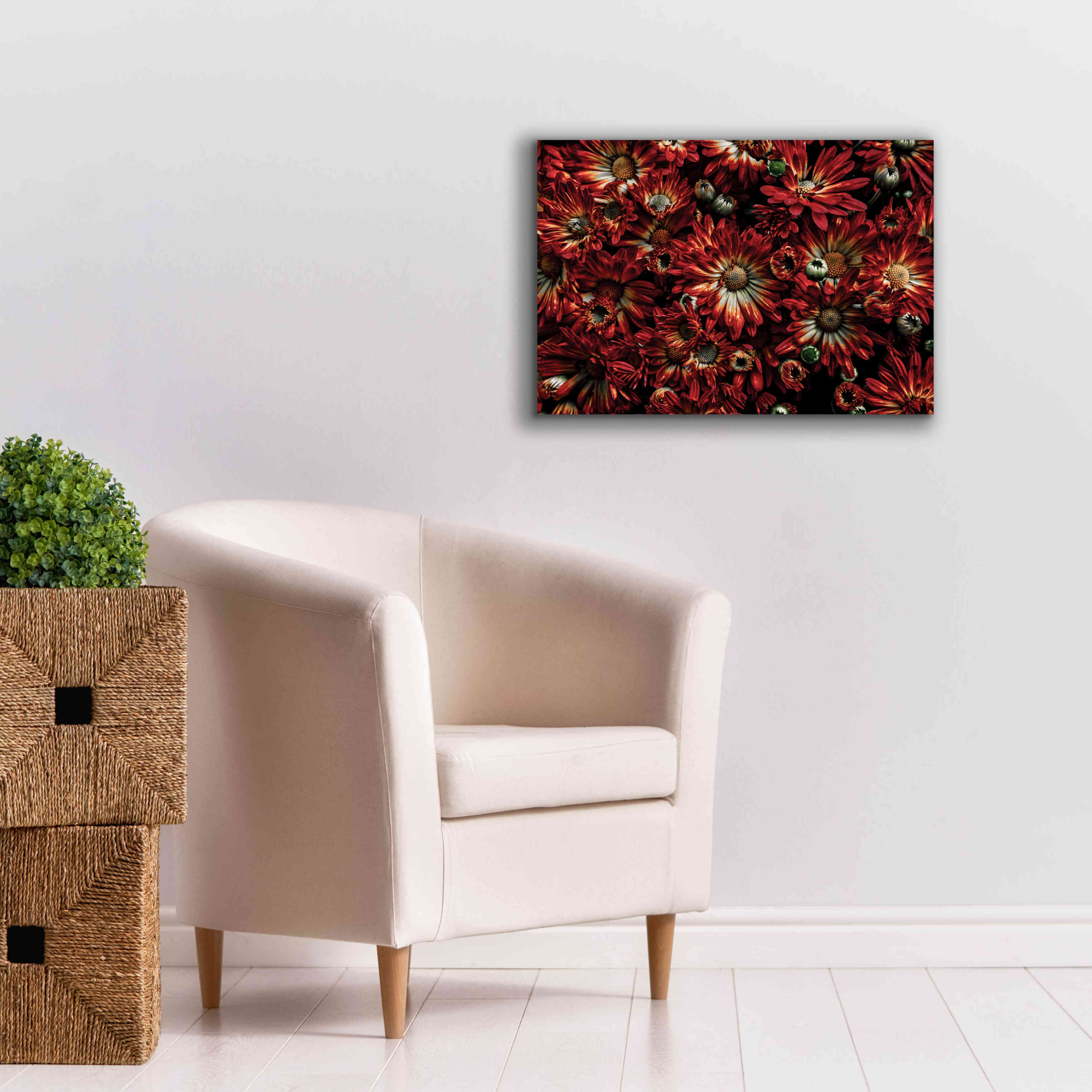 'Backyard Flowers 88 Color Version' by Brian Carson, Giclee Canvas Wall Art,26 x 18