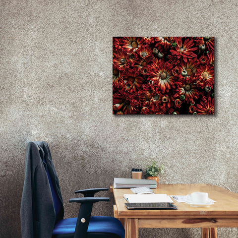 Image of 'Backyard Flowers 88 Color Version' by Brian Carson, Giclee Canvas Wall Art,34 x 26
