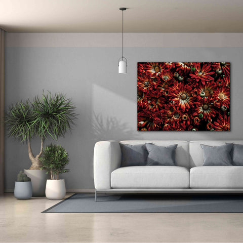 Image of 'Backyard Flowers 88 Color Version' by Brian Carson, Giclee Canvas Wall Art,54 x 40