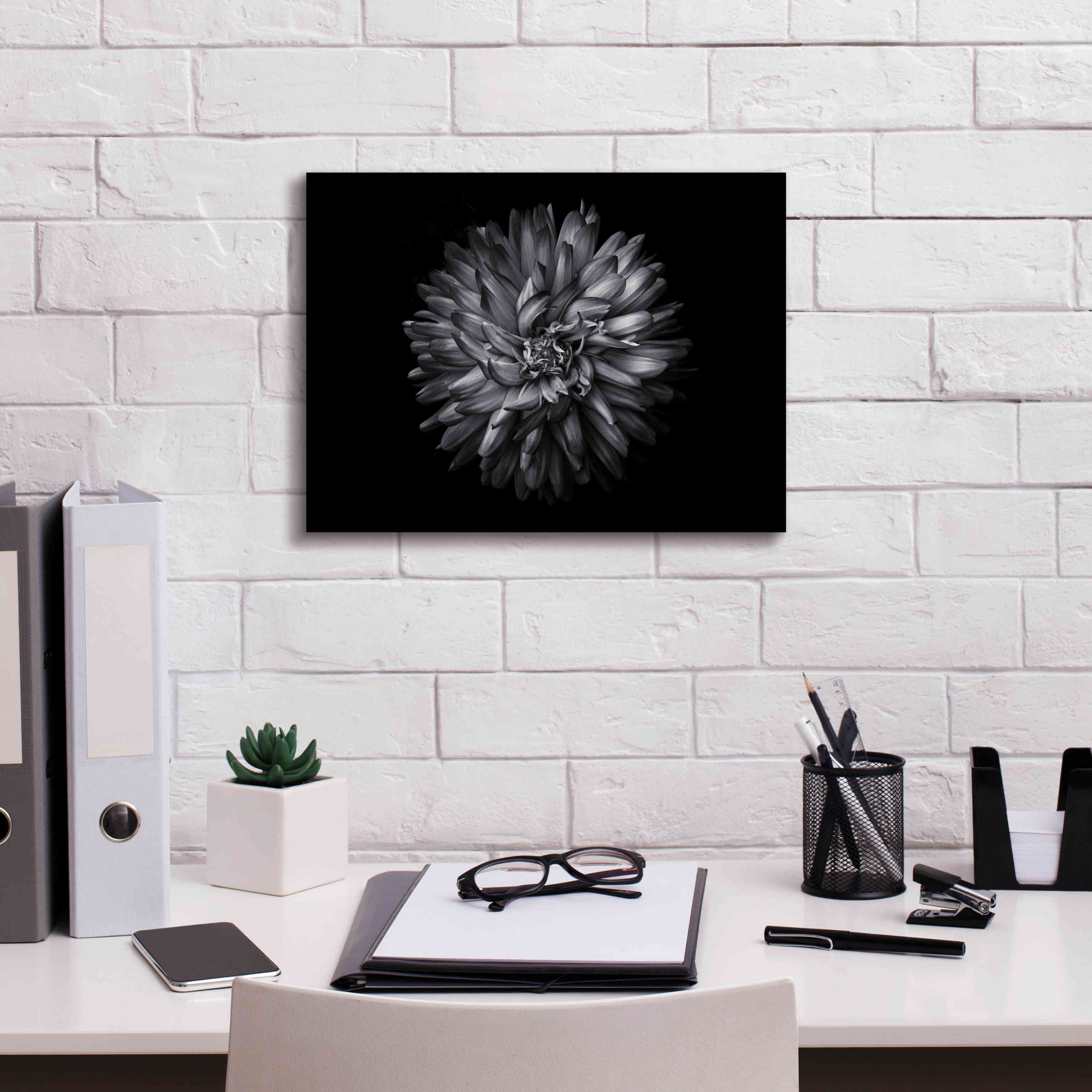 'Backyard Flowers In Black And White 20' by Brian Carson, Giclee Canvas Wall Art,16 x 12