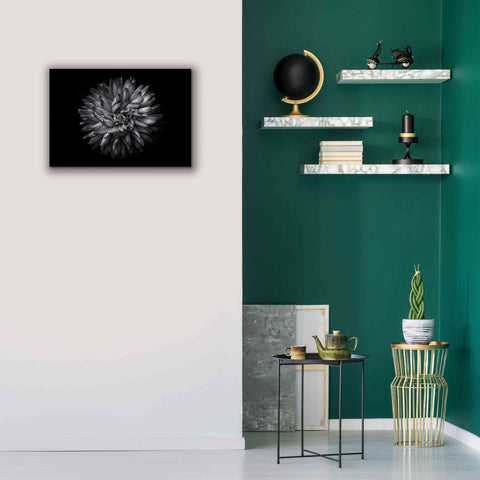 Image of 'Backyard Flowers In Black And White 20' by Brian Carson, Giclee Canvas Wall Art,26 x 18
