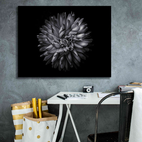 Image of 'Backyard Flowers In Black And White 20' by Brian Carson, Giclee Canvas Wall Art,34 x 26