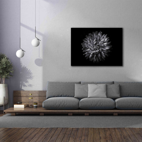 Image of 'Backyard Flowers In Black And White 20' by Brian Carson, Giclee Canvas Wall Art,54 x 40