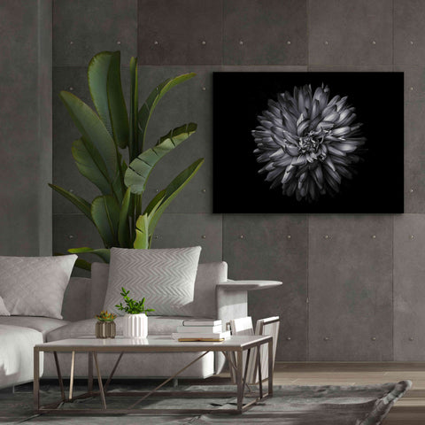 Image of 'Backyard Flowers In Black And White 20' by Brian Carson, Giclee Canvas Wall Art,54 x 40