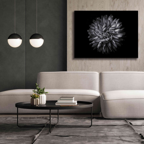 Image of 'Backyard Flowers In Black And White 20' by Brian Carson, Giclee Canvas Wall Art,54 x 40