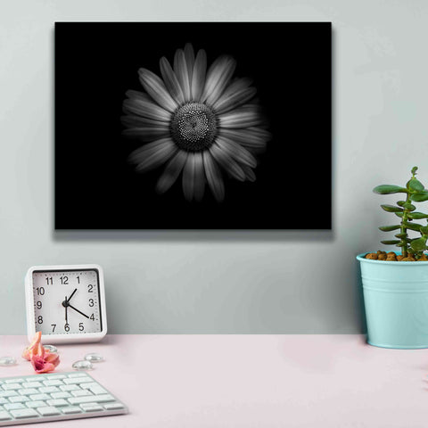 Image of 'Backyard Flowers In Black And White 31' by Brian Carson, Giclee Canvas Wall Art,16 x 12