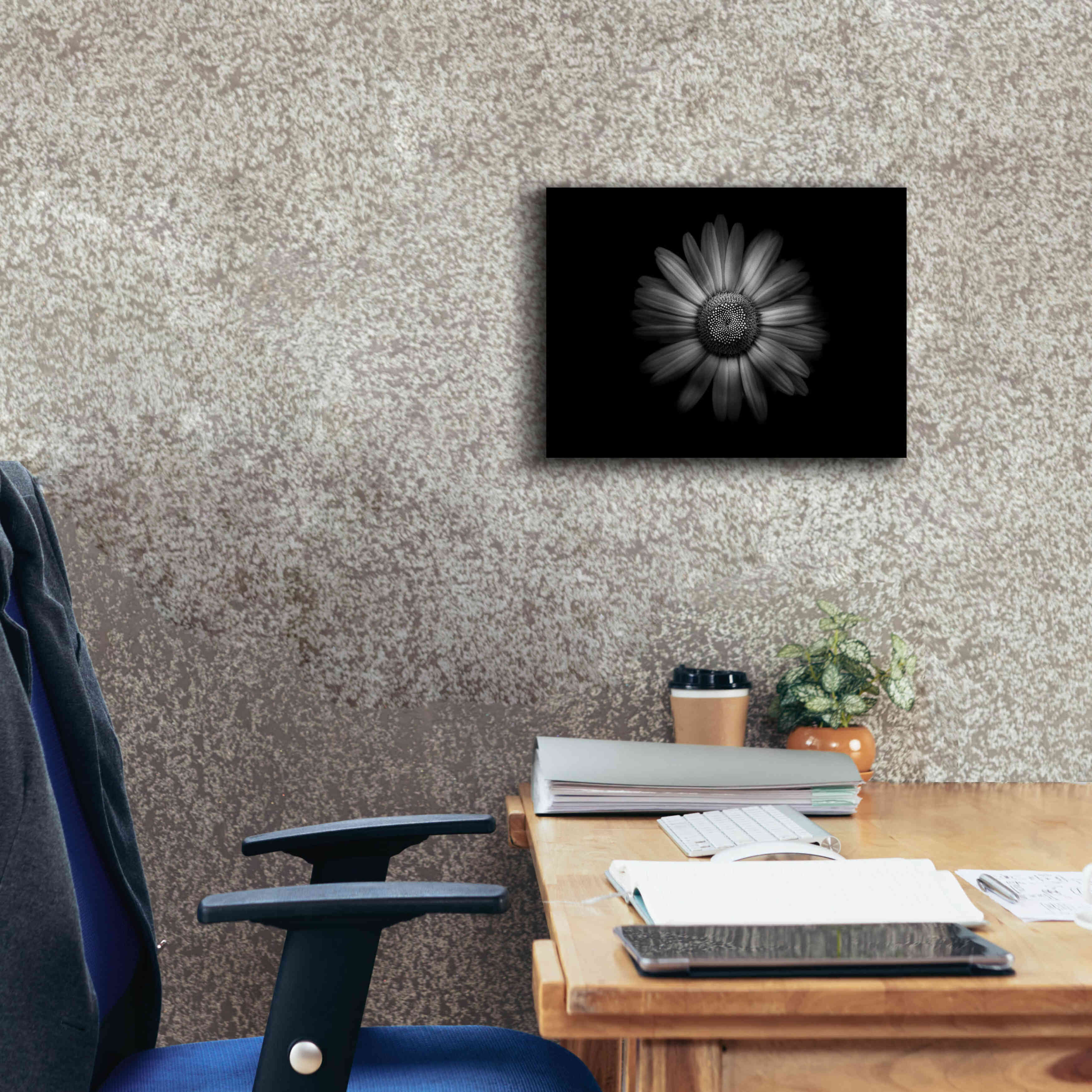 'Backyard Flowers In Black And White 31' by Brian Carson, Giclee Canvas Wall Art,16 x 12