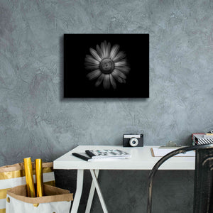 'Backyard Flowers In Black And White 31' by Brian Carson, Giclee Canvas Wall Art,16 x 12