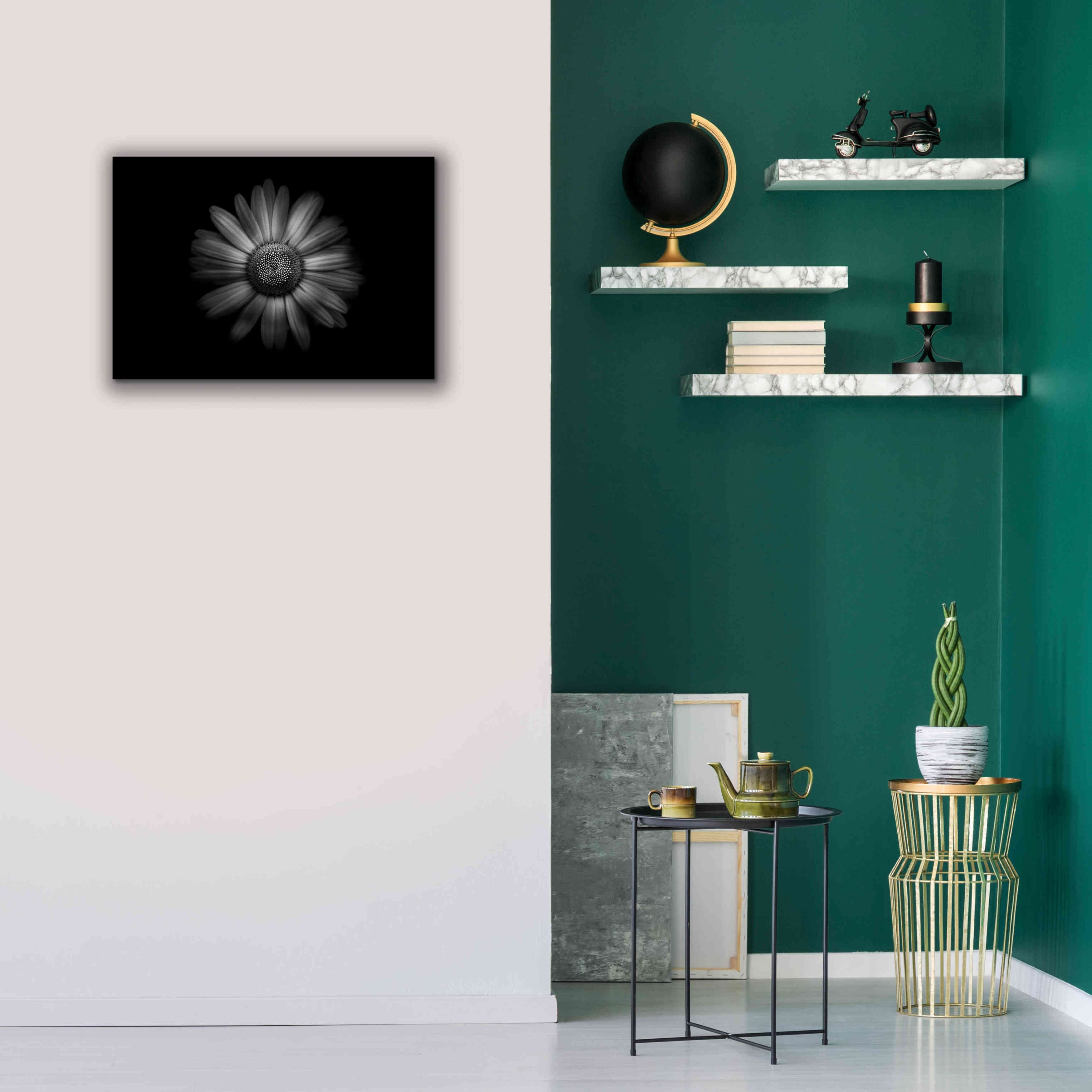'Backyard Flowers In Black And White 31' by Brian Carson, Giclee Canvas Wall Art,26 x 18