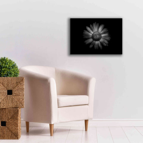 Image of 'Backyard Flowers In Black And White 31' by Brian Carson, Giclee Canvas Wall Art,26 x 18