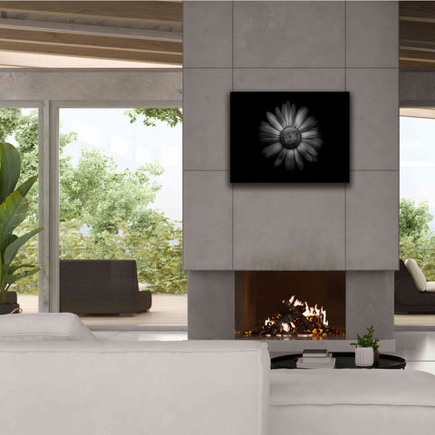 Image of 'Backyard Flowers In Black And White 31' by Brian Carson, Giclee Canvas Wall Art,34 x 26