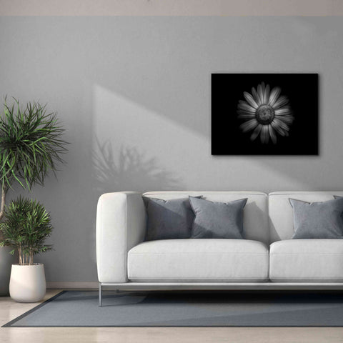 Image of 'Backyard Flowers In Black And White 31' by Brian Carson, Giclee Canvas Wall Art,34 x 26