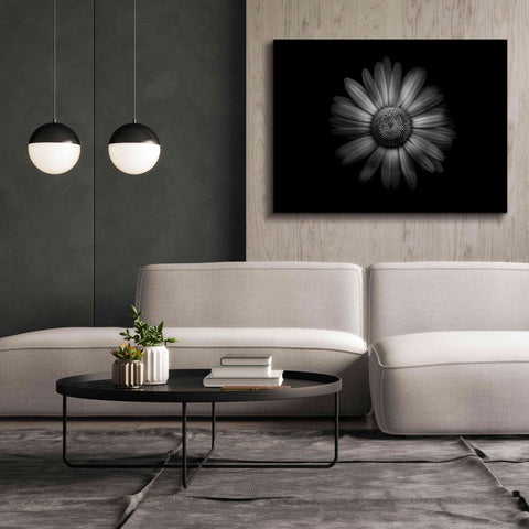 Image of 'Backyard Flowers In Black And White 31' by Brian Carson, Giclee Canvas Wall Art,54 x 40