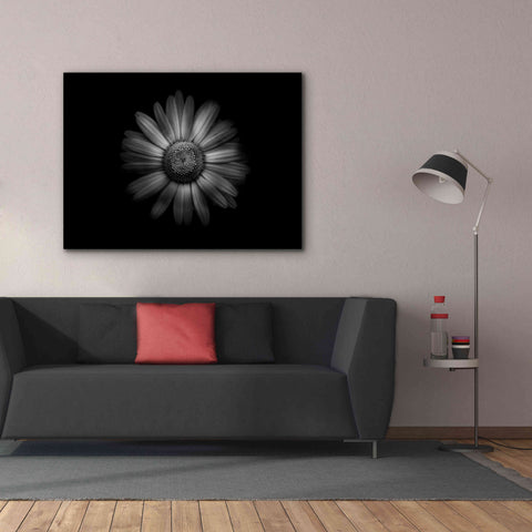 Image of 'Backyard Flowers In Black And White 31' by Brian Carson, Giclee Canvas Wall Art,54 x 40