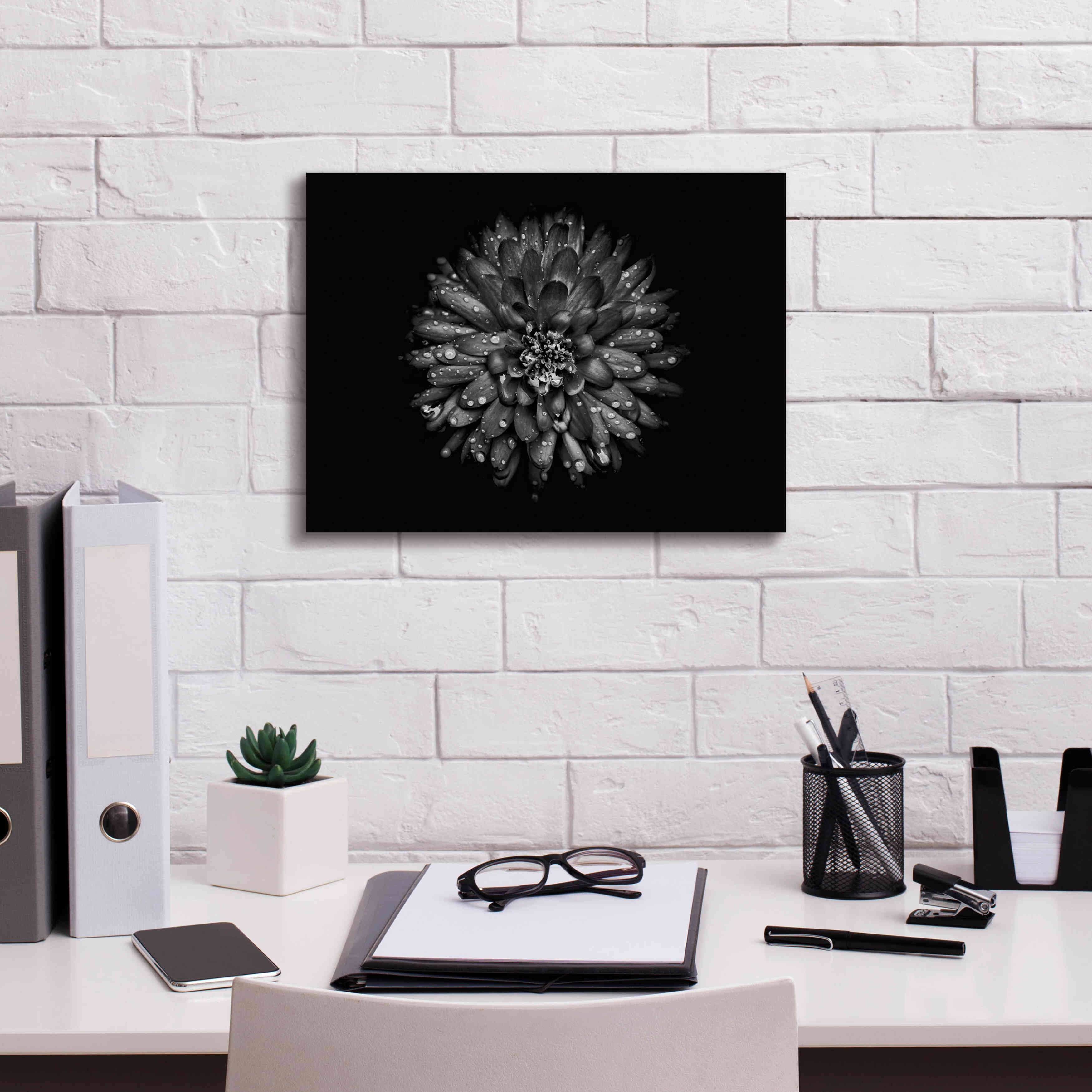 'Backyard Flowers In Black And White 45' by Brian Carson, Giclee Canvas Wall Art,16 x 12