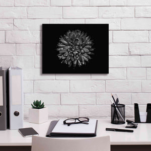 'Backyard Flowers In Black And White 45' by Brian Carson, Giclee Canvas Wall Art,16 x 12