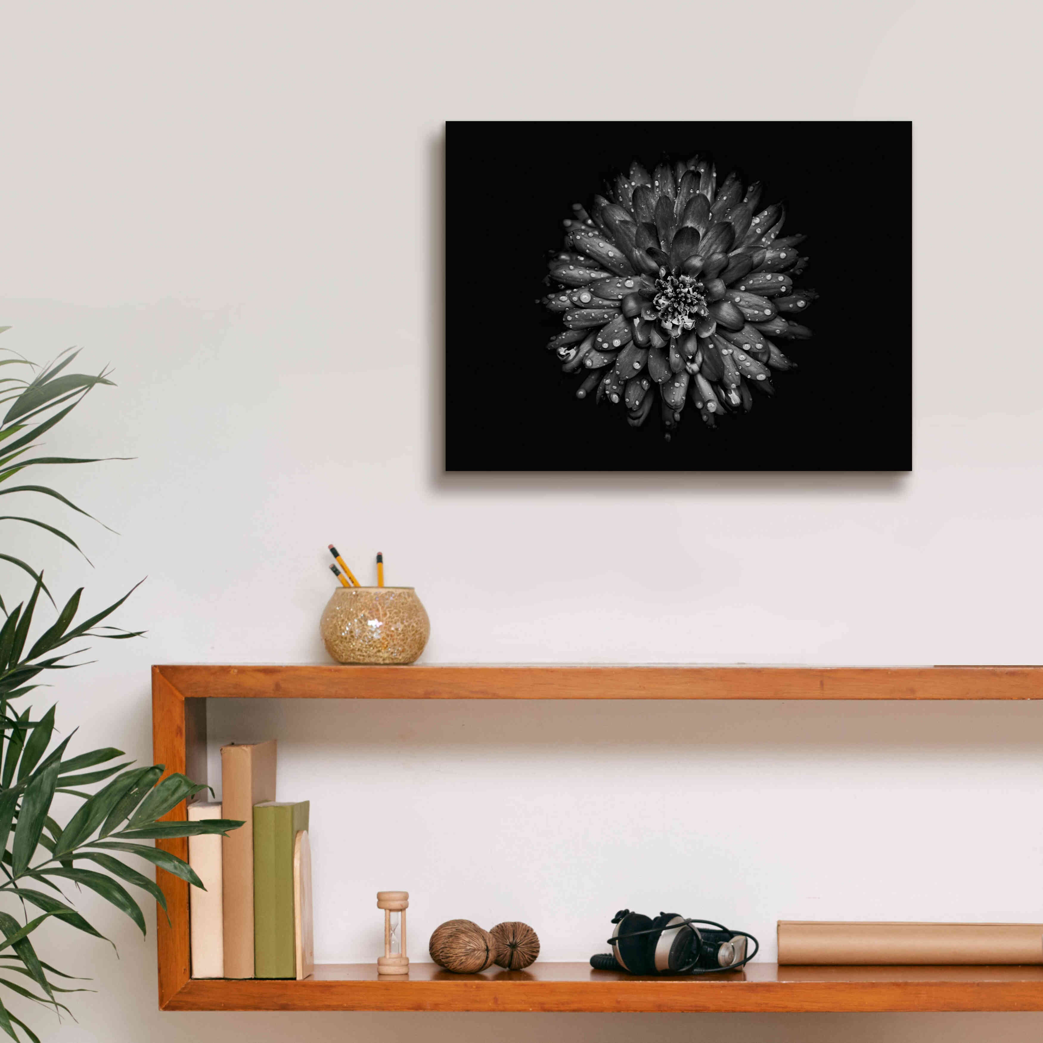 'Backyard Flowers In Black And White 45' by Brian Carson, Giclee Canvas Wall Art,16 x 12