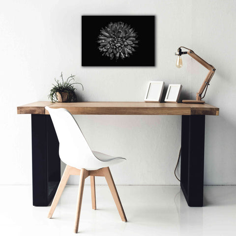 Image of 'Backyard Flowers In Black And White 45' by Brian Carson, Giclee Canvas Wall Art,26 x 18