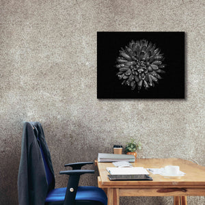 'Backyard Flowers In Black And White 45' by Brian Carson, Giclee Canvas Wall Art,34 x 26