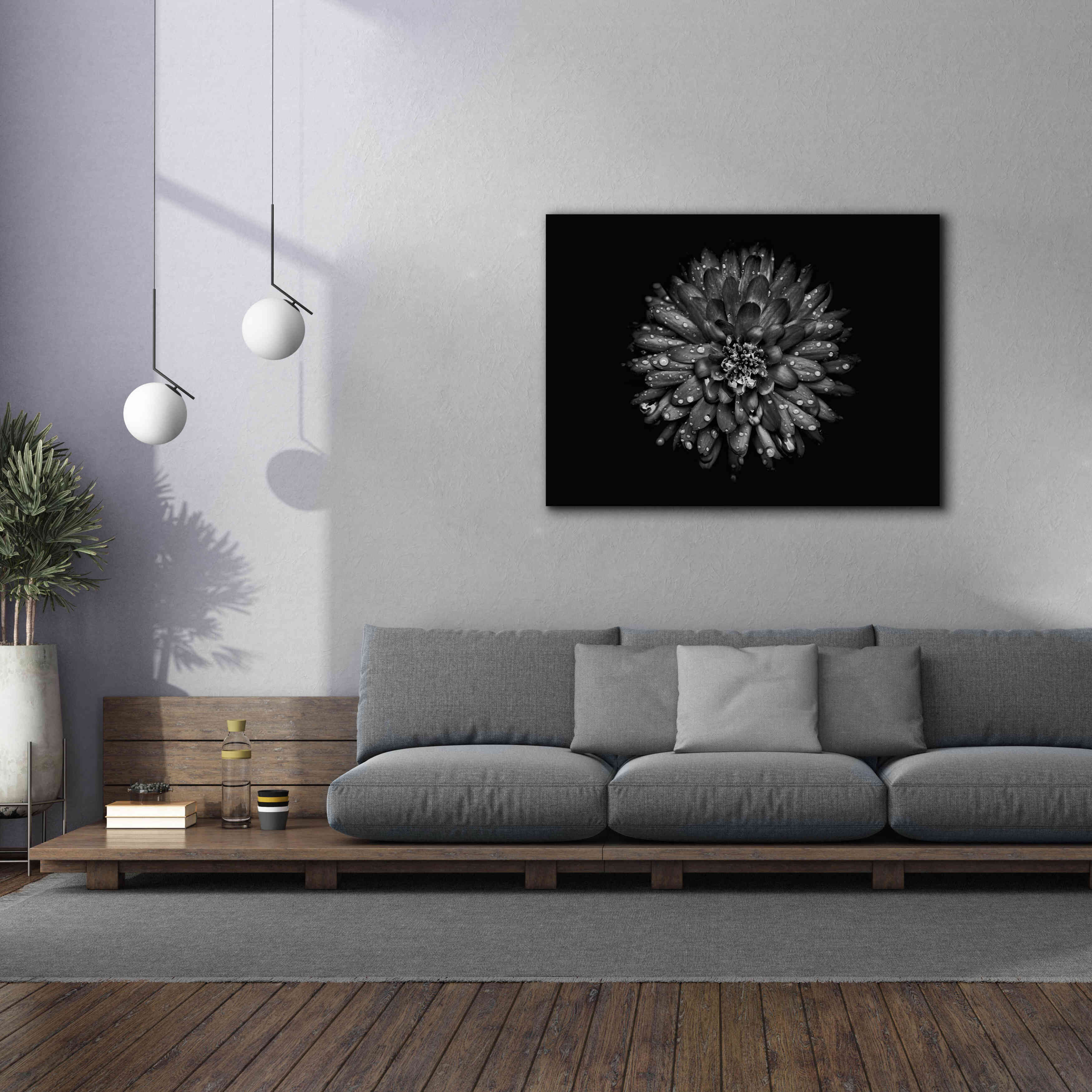 'Backyard Flowers In Black And White 45' by Brian Carson, Giclee Canvas Wall Art,54 x 40
